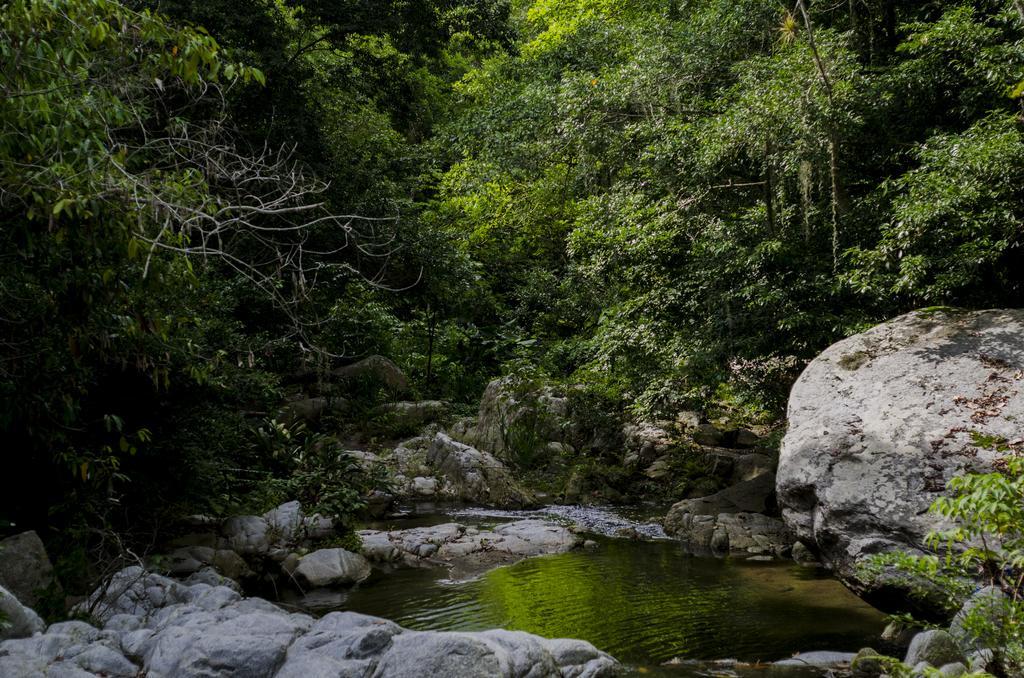 Tayrona Paradise Villa El Zaino Buitenkant foto
