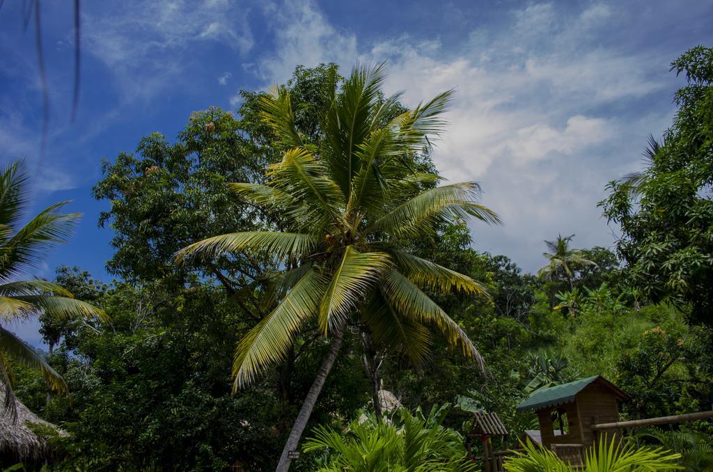 Tayrona Paradise Villa El Zaino Buitenkant foto
